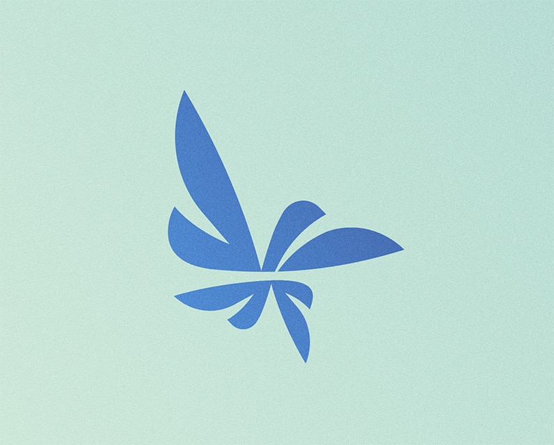 Wide Focus multi-color logo mark on green background