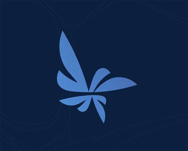 Wide Focus multi-color logo mark on dark blue background